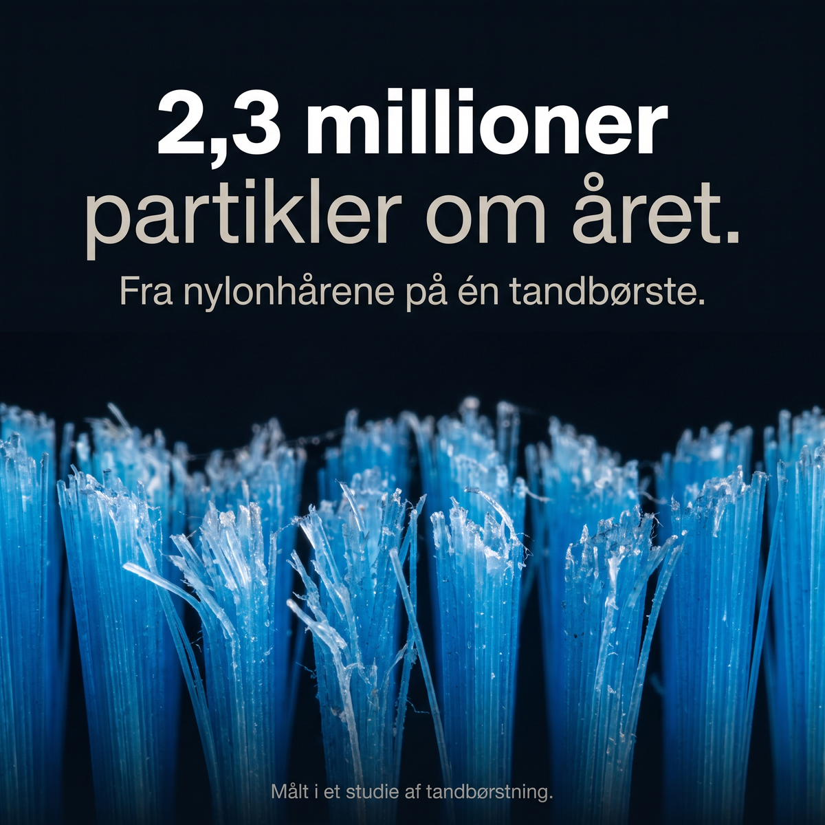 2,3 millioner mikroplastpartikler om året fra nylonhår