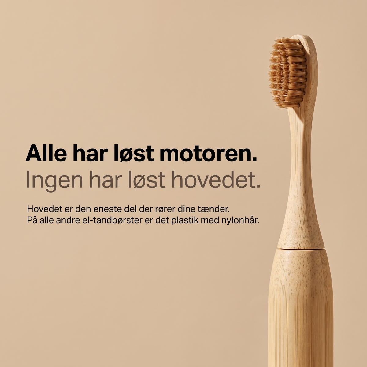 Alle har løst motoren, ingen har løst hovedet