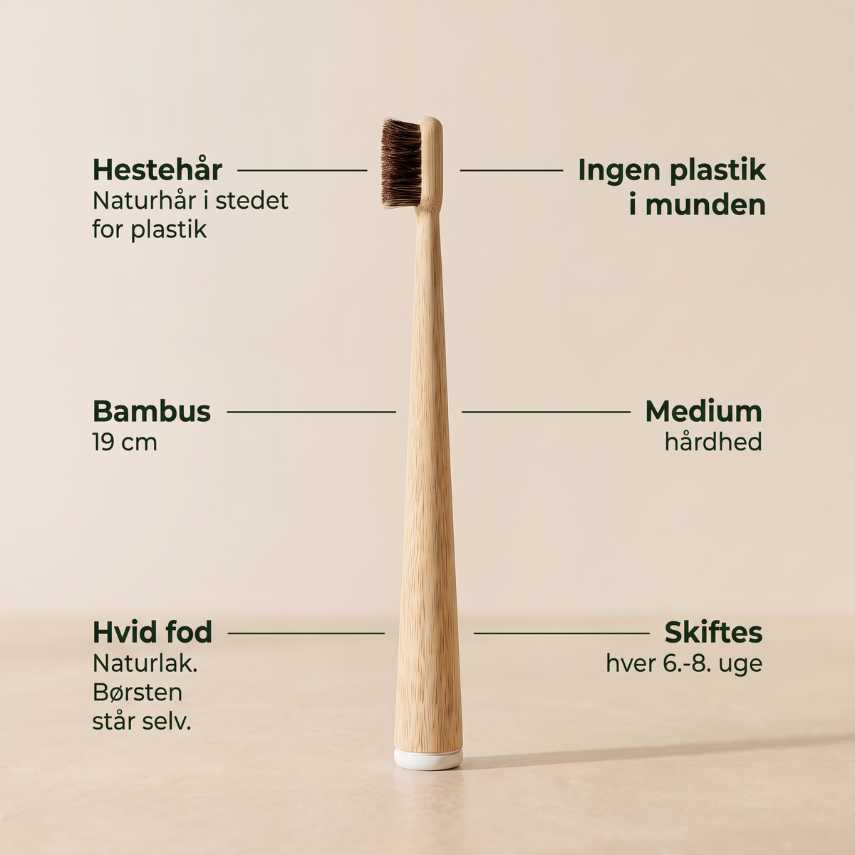 SELVA tandbørsten i detaljer: hestehår, bambusskaft på 19 cm, hvid fod af naturlak, medium hårdhed